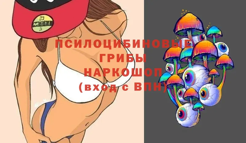 Галлюциногенные грибы Magic Shrooms  Новошахтинск 